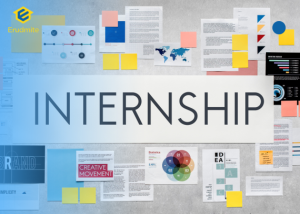 cracking the internships