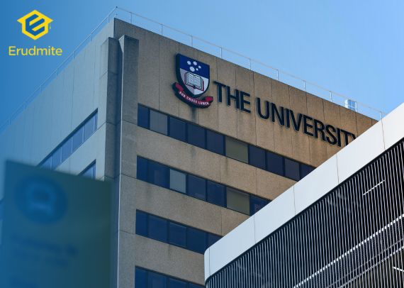 Don’t Run Behind Offer Letters: Why Blindly Applying to Multiple Universities Can Hurt Your Future
